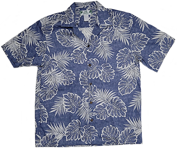 Kauai - Navy